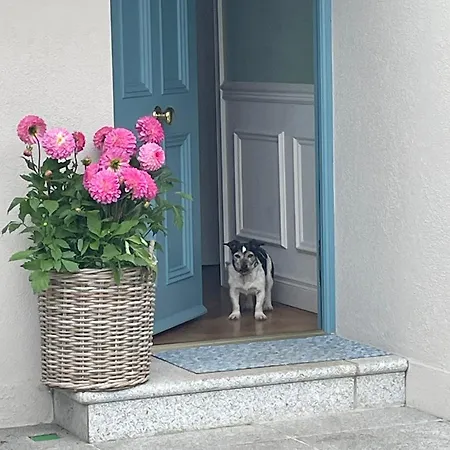 Deansgrange Road Blackrock (Dublin)