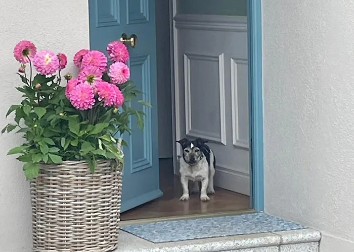 Deansgrange Road Blackrock (Dublin)